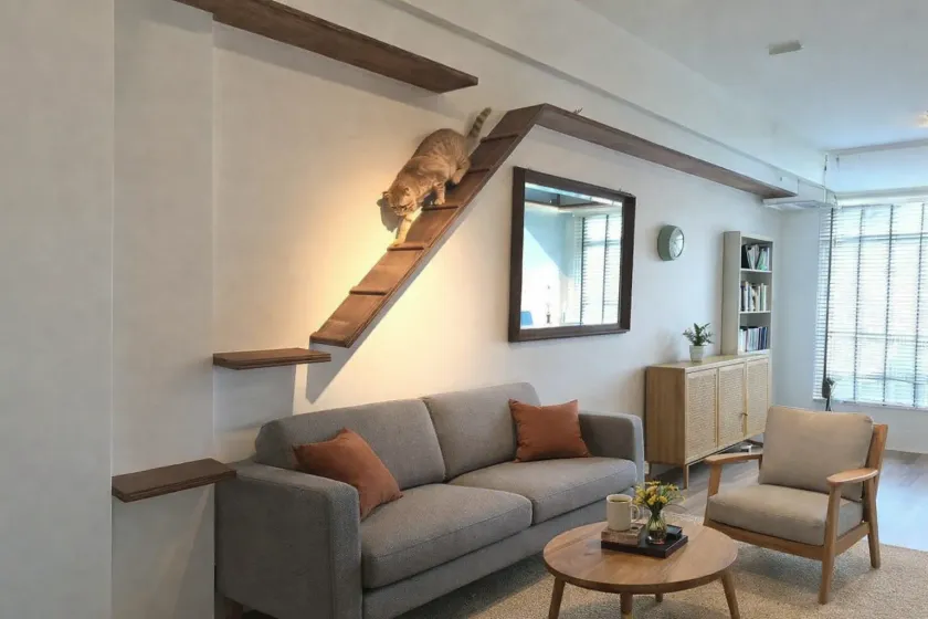Salón con plataformas y accesos elevados para gatos